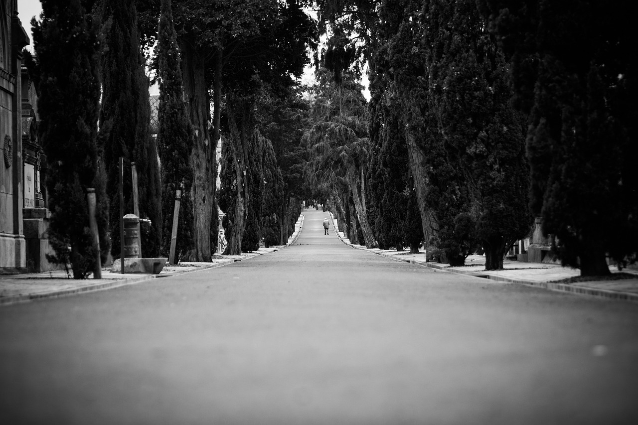 road-869589_1280 (1)