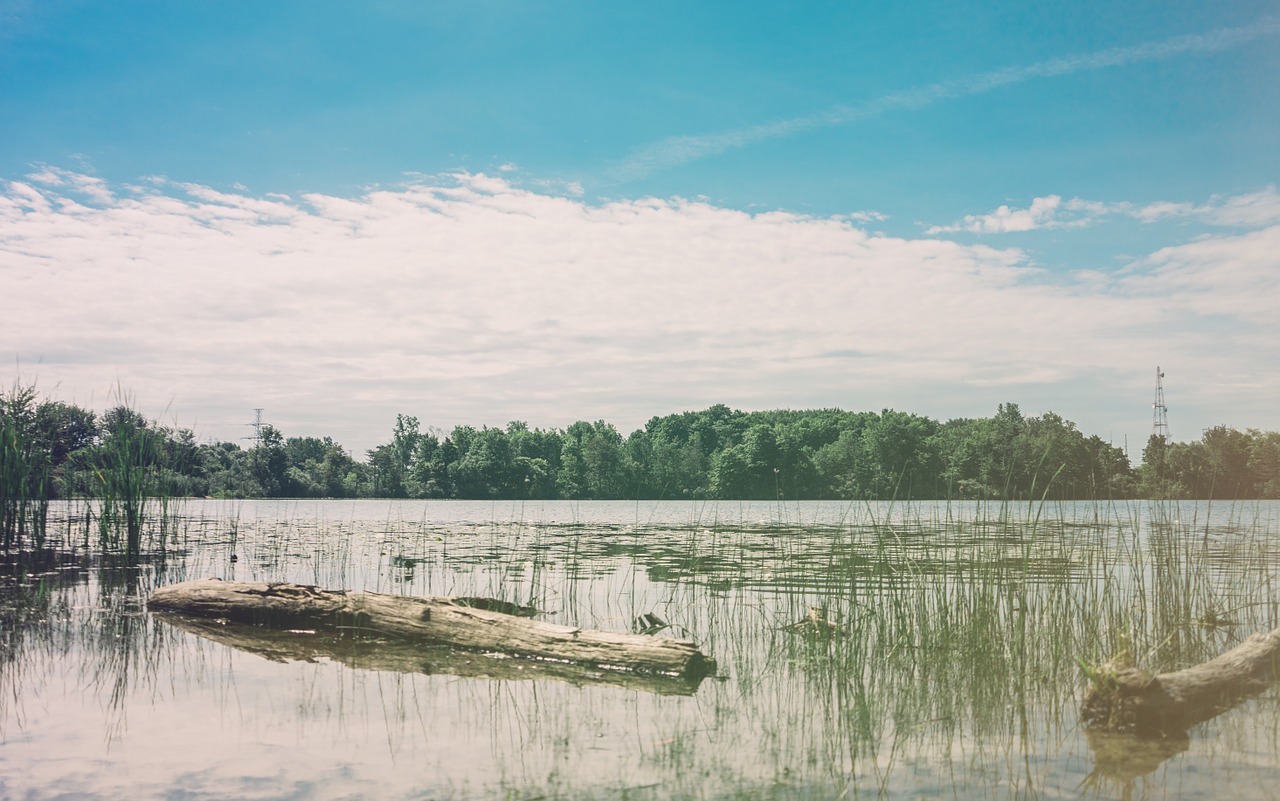 lake-871708_1280