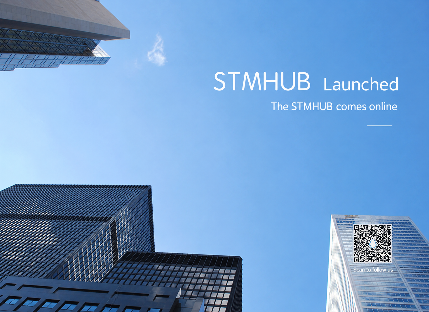 stmhub